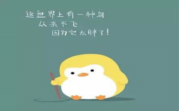 胖女孩的作文通用7篇