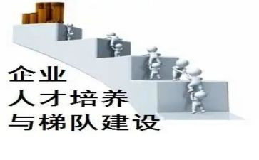 人才培养的工作总结6篇