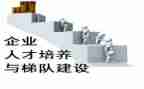 人才培养的工作总结6篇