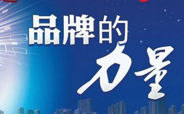 品牌经理年终总结5篇