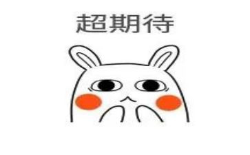 我期待作文400字推荐5篇