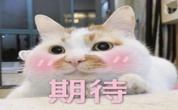 期待作文作文最新8篇