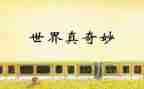 奇妙的书读后感优秀8篇