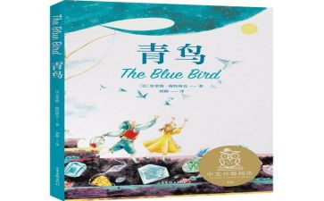 读《青鸟》读后感通用7篇