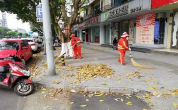 校园清扫活动总结参考7篇