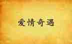 森林奇遇记作文7篇