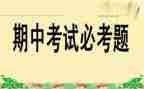 期中考感想作文6篇
