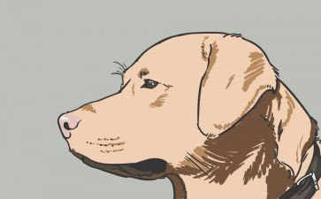 猎犬读后感精选6篇
