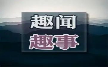 趣事作文参考5篇