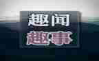 趣事作文参考5篇