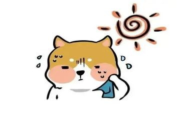 热处理的心得体会7篇