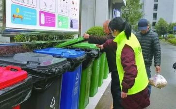 学校扔垃圾演讲稿8篇