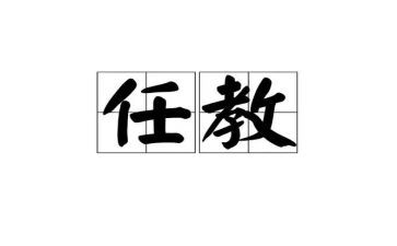 新任教师心得体会优质8篇