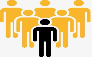 2024人口调查报告5篇