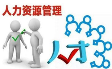 人力年度工作总结范文模板7篇