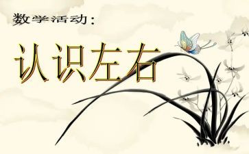 我认识的...作文优秀7篇