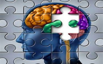 认知的教案7篇