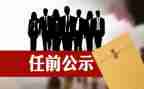 任职转正述职报告8篇