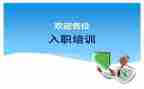 新入职的工作总结优秀8篇