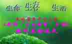 三生教育总结6篇