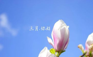 三月份的讲话稿5篇