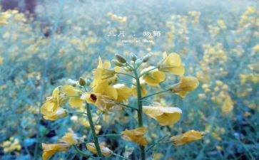 教师三月工作计划6篇