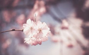三月班务工作总结6篇