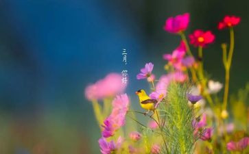 三月学雷锋的演讲稿8篇