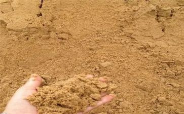 健康水果沙拉教案7篇