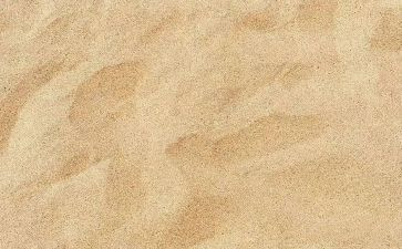 沙龙活动方案策划7篇