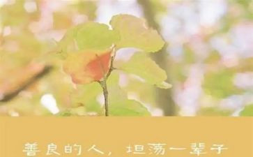 善读书活动总结最新5篇