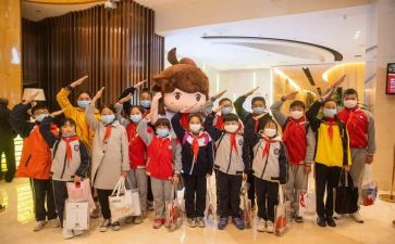 501少先队工作总结最新5篇