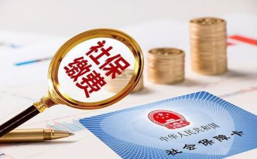 社保工作总结和计划5篇