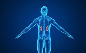 肾内科的自我鉴定通用7篇