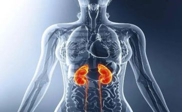 神经肾内科自我鉴定范文6篇