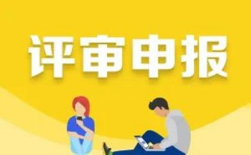 助申报工作总结7篇