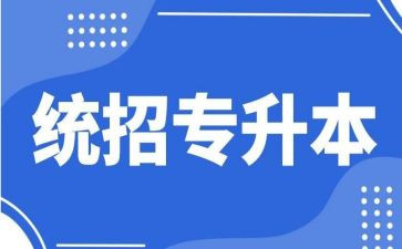 专升本体会与心得5篇