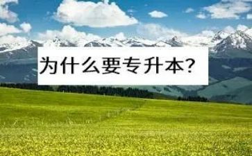 专升本个人鉴定表自我鉴定优秀7篇