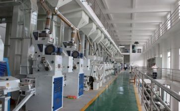 生产实习个人心得体会8篇