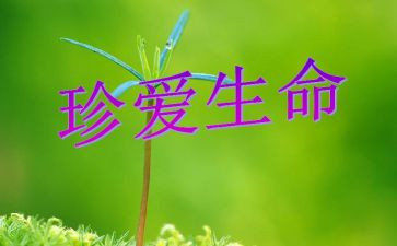 让生命精演讲稿推荐5篇