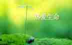 主题生命的演讲稿7篇