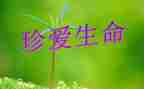 让生命精演讲稿推荐5篇