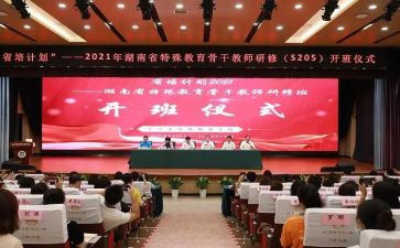 省培个人研修总结6篇