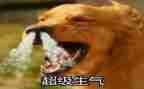 太生气了的作文5篇