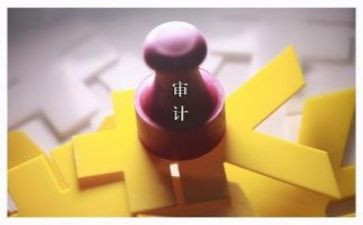 审计组工作总结优秀8篇