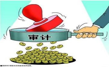 个人工作总结审计精选5篇