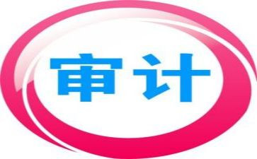 审计的实习心得精选8篇