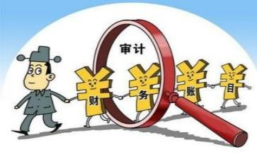 年度内部审计工作总结精选8篇