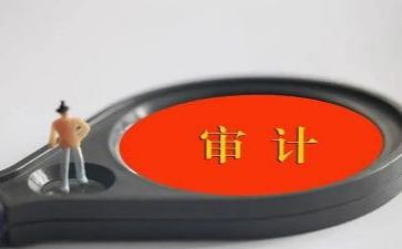 审计工作总结优秀5篇