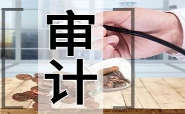 财务审计想工作总结6篇